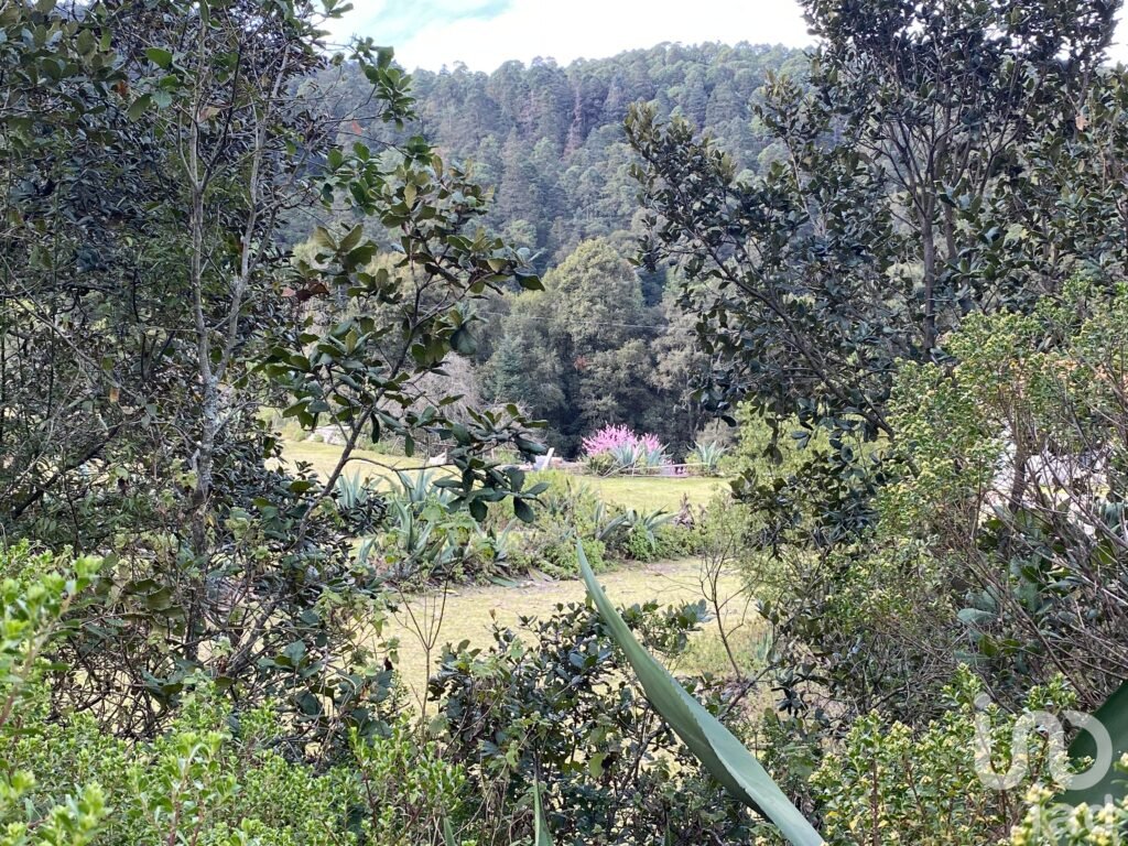 EN VENTA TERRENO BOSCOSO EN EL PUEBLO MAGICO DE OMITLAN,HGO.