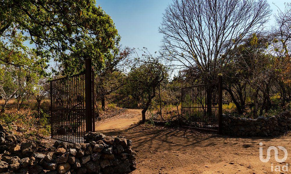 Terreno en venta, Conjunto Pedregal, en Tepoztlán, Morelos