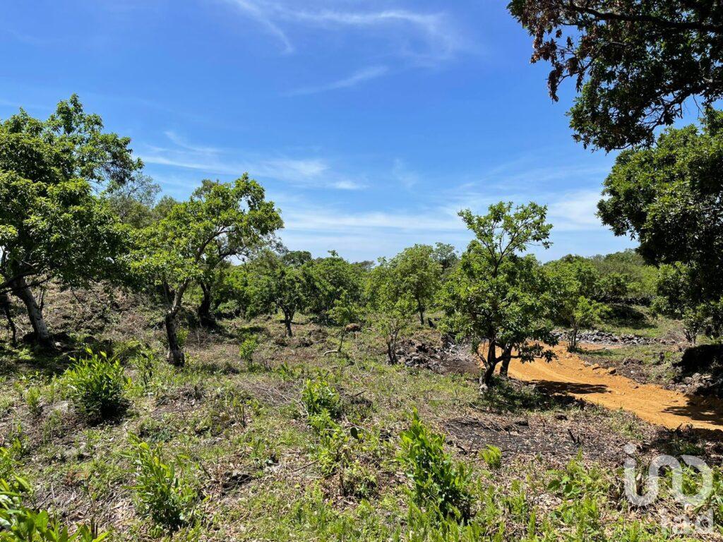 Terreno en venta, Conjunto Pedregal, en Tepoztlán, Morelos
