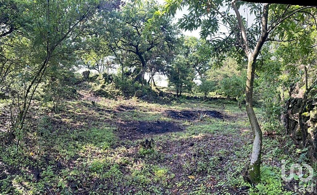 Terreno en venta, Conjunto Pedregal, en Tepoztlán, Morelos
