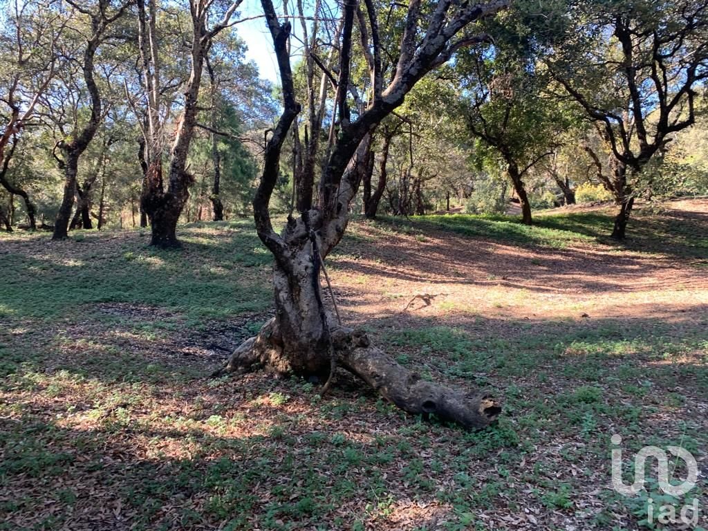 TERRENO EN VENTA, CONJUNTO BOSQUES, TEPOZTLÁN, MORELOS