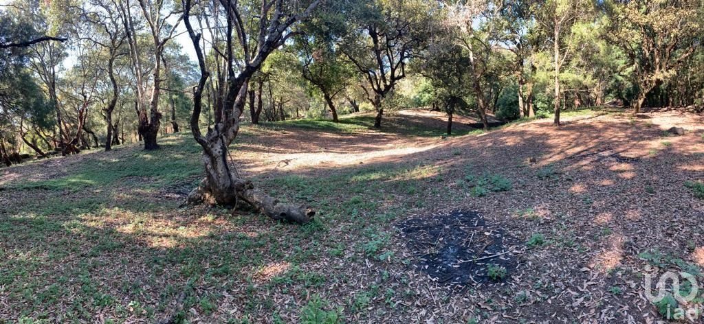 TERRENO EN VENTA, CONJUNTO BOSQUES, TEPOZTLÁN, MORELOS