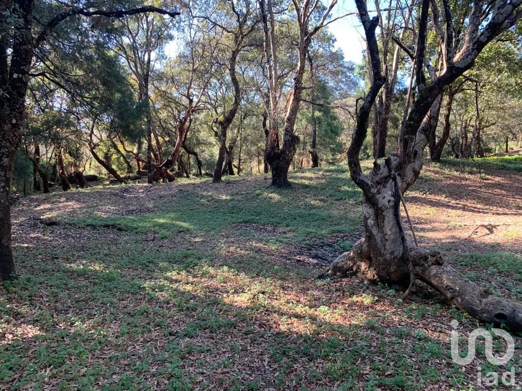 TERRENO EN VENTA, CONJUNTO BOSQUES, TEPOZTLÁN, MORELOS