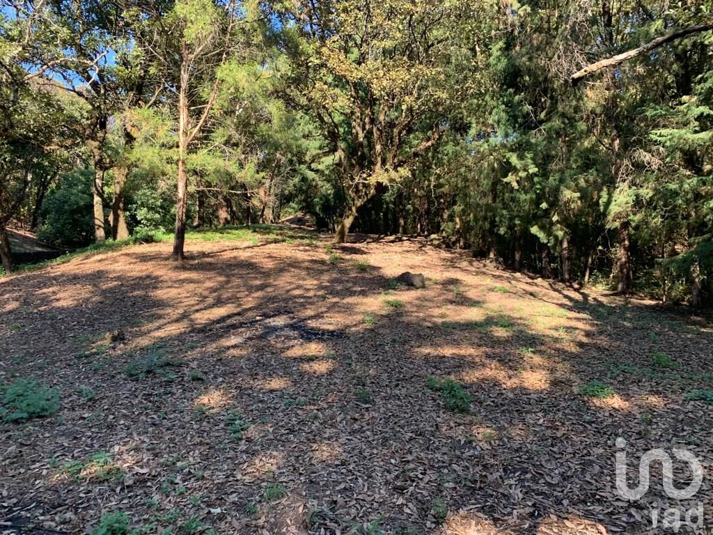 TERRENO EN VENTA, CONJUNTO BOSQUES, TEPOZTLÁN, MORELOS