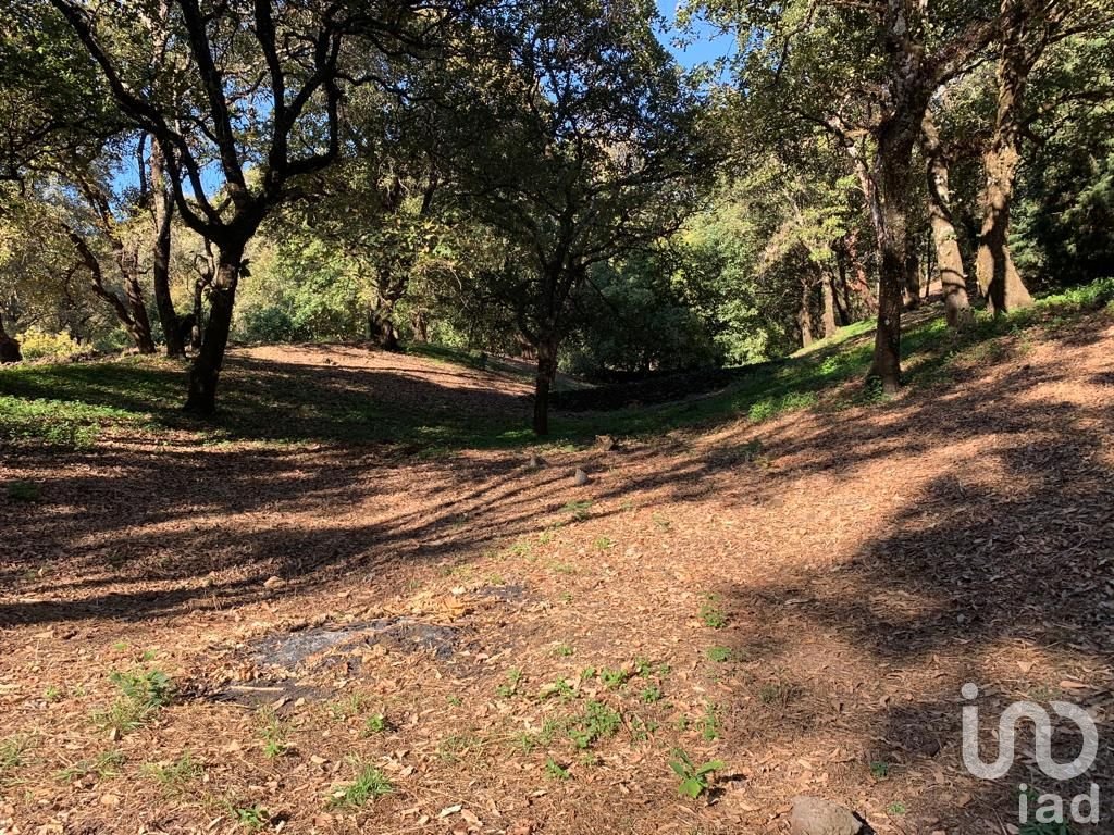 TERRENO EN VENTA, CONJUNTO BOSQUES, TEPOZTLÁN, MORELOS