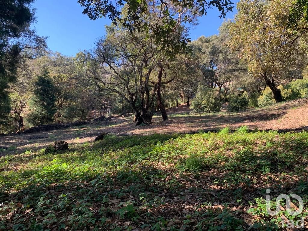 TERRENO EN VENTA, CONJUNTO BOSQUES, TEPOZTLÁN, MORELOS