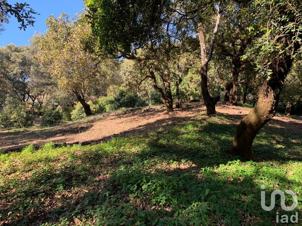 TERRENO EN VENTA, CONJUNTO BOSQUES, TEPOZTLÁN, MORELOS