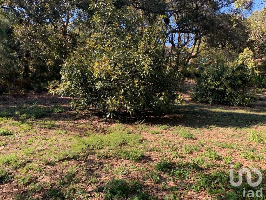 TERRENO EN VENTA, CONJUNTO BOSQUES, TEPOZTLÁN, MORELOS