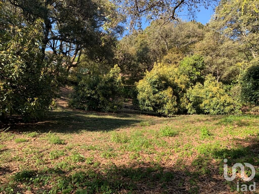 TERRENO EN VENTA, CONJUNTO BOSQUES, TEPOZTLÁN, MORELOS