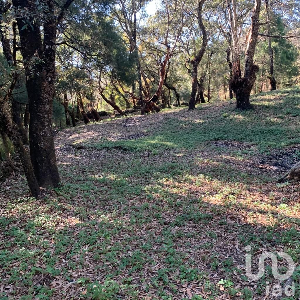 TERRENO EN VENTA, CONJUNTO BOSQUES, TEPOZTLÁN, MORELOS
