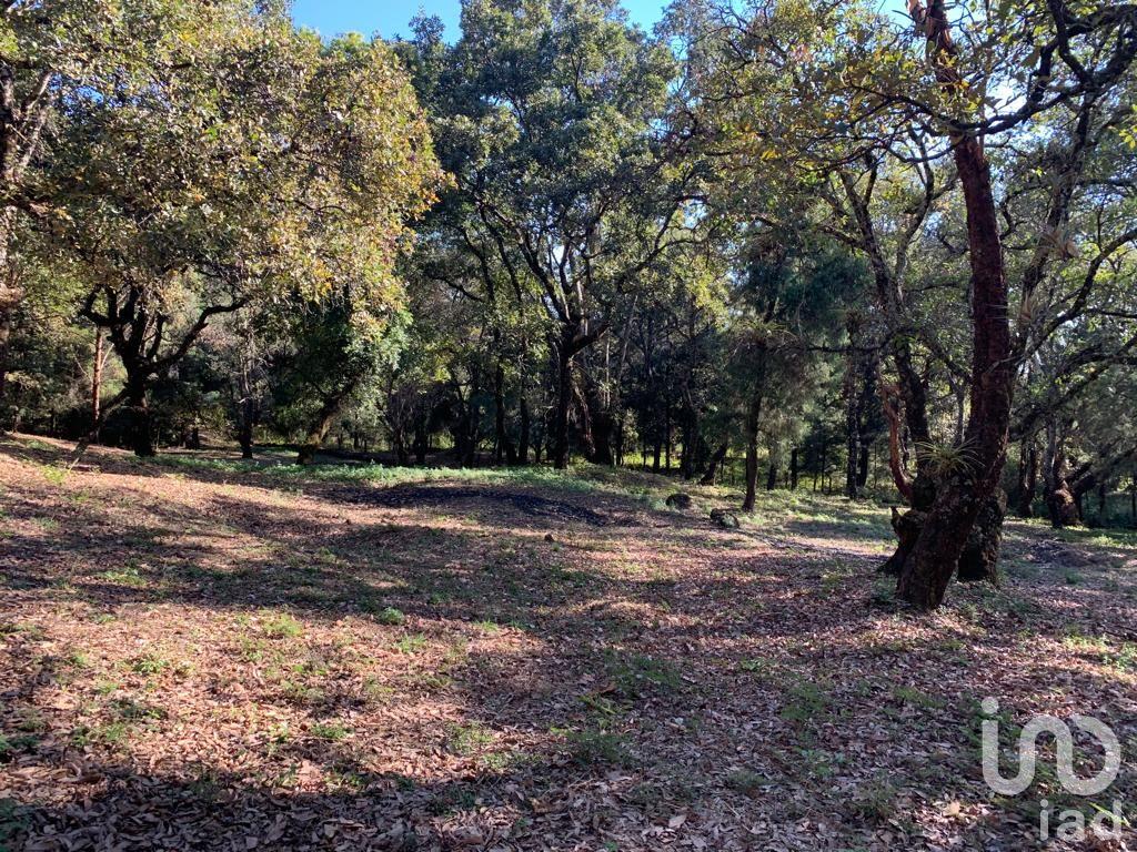 TERRENO EN VENTA, CONJUNTO BOSQUES, TEPOZTLÁN, MORELOS TERRENO EN VENTA, CONJUNTO BOSQUES, TEPOZTLÁN, MORELOS