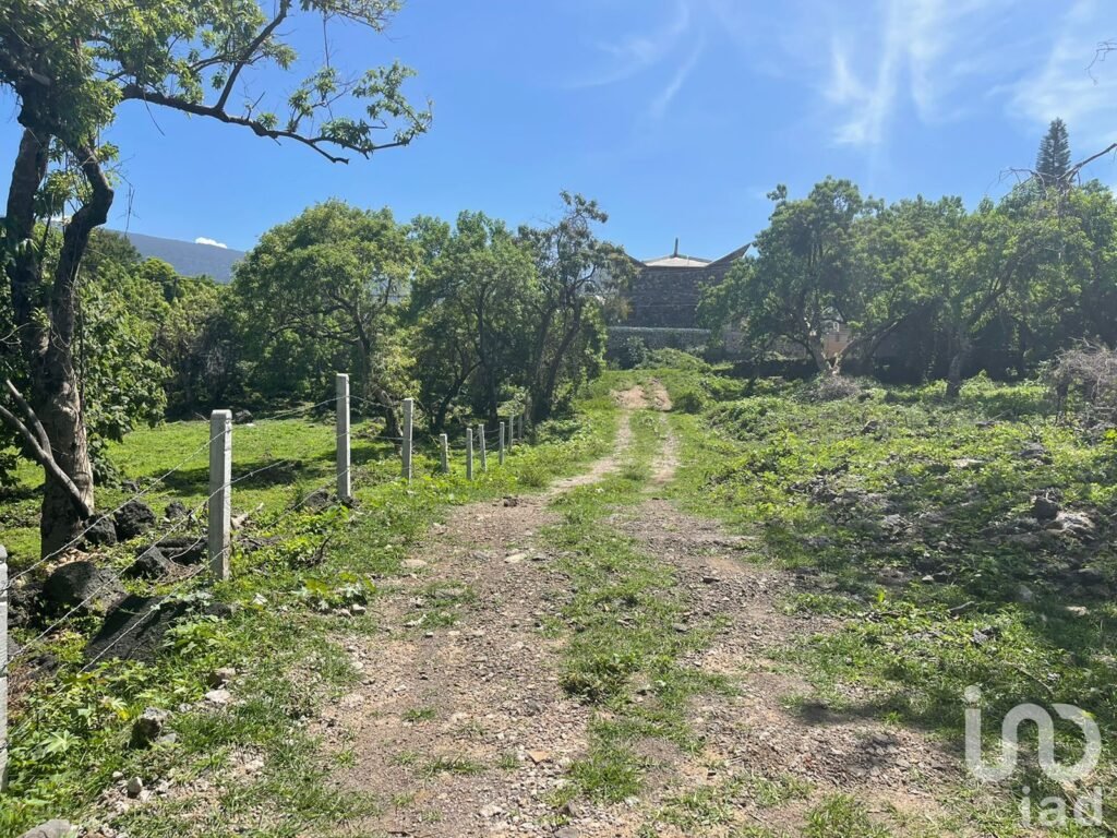 Terreno en Venta, Conjunto Amates en Tepoztlán, Morelos.