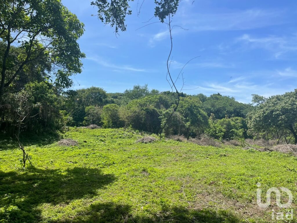 Terreno en Venta, Conjunto Amates en Tepoztlán, Morelos.