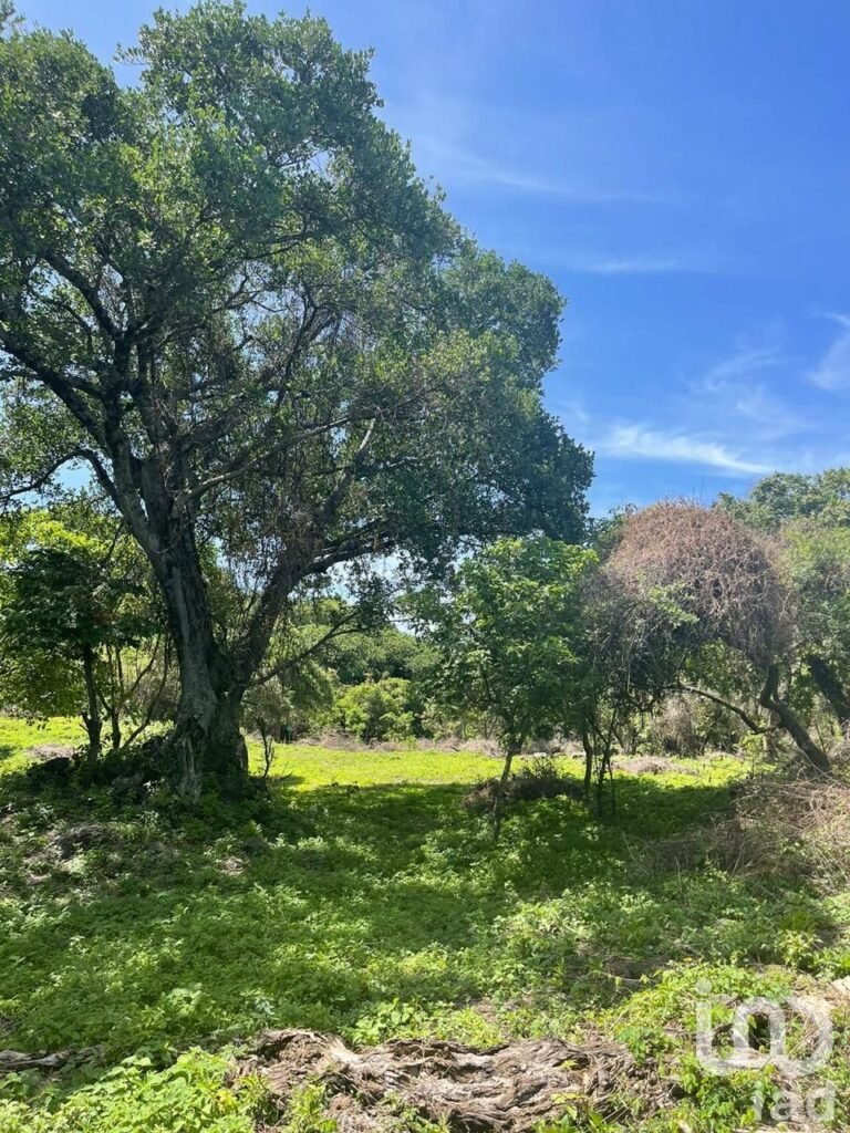 Terreno en Venta, Conjunto Amates en Tepoztlán, Morelos.