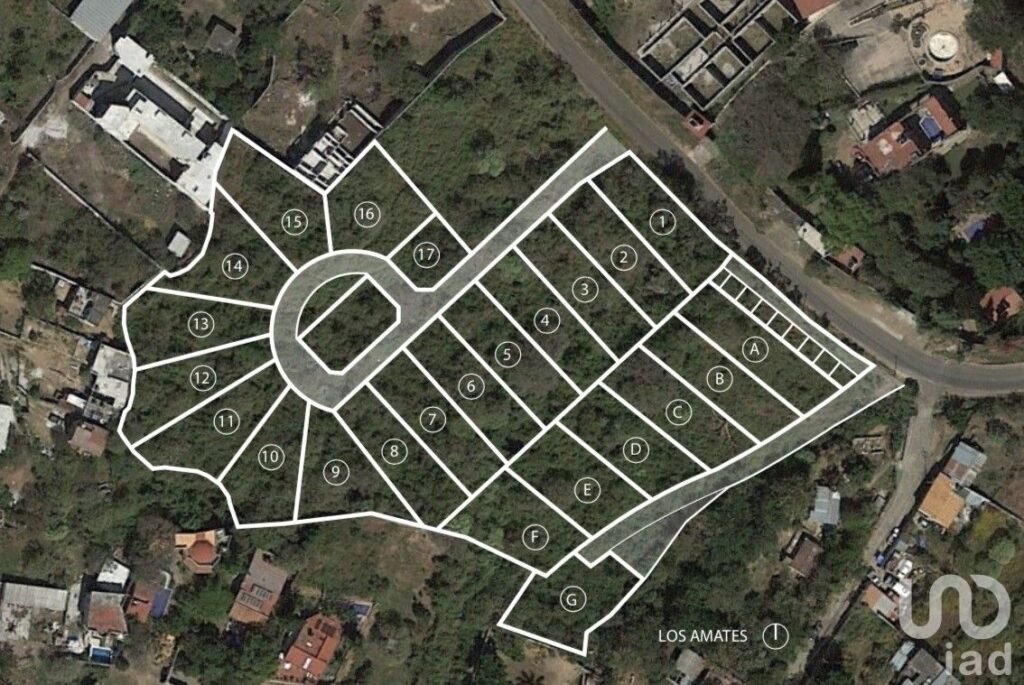 Terreno en Venta, Conjunto Amates en Tepoztlán, Morelos.