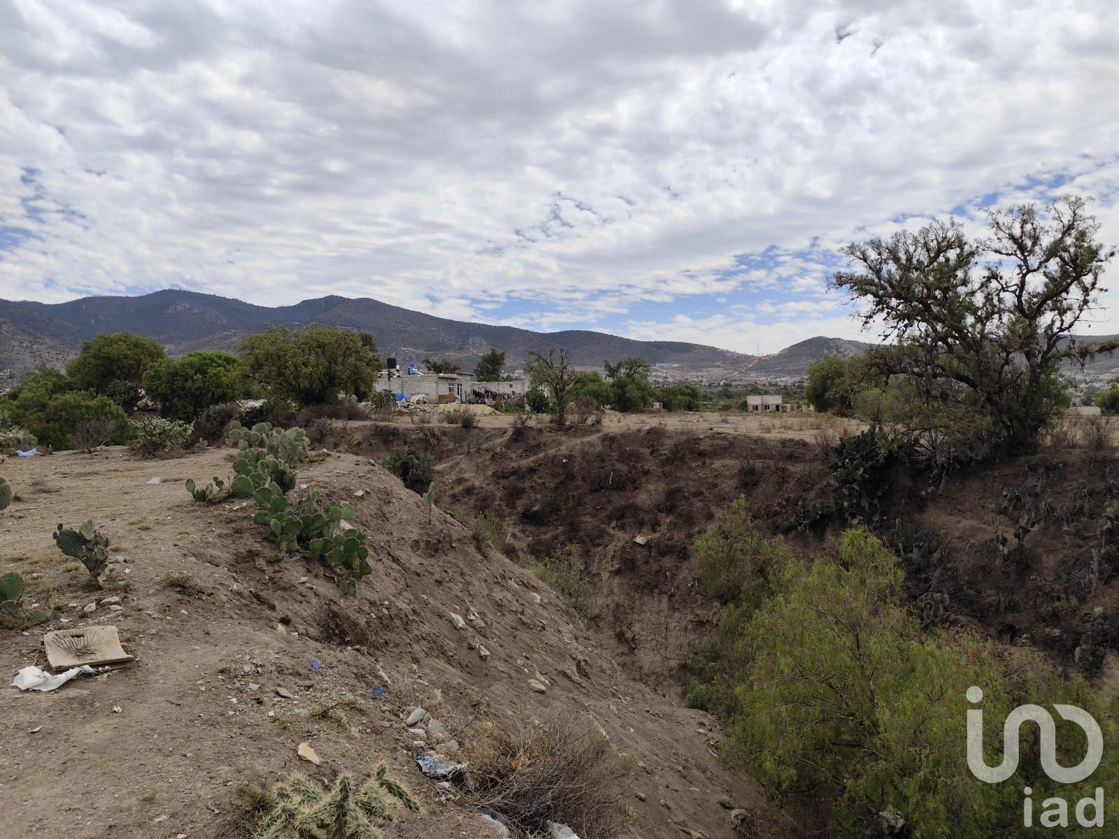 Terreno rustico Grande “Tepetal”