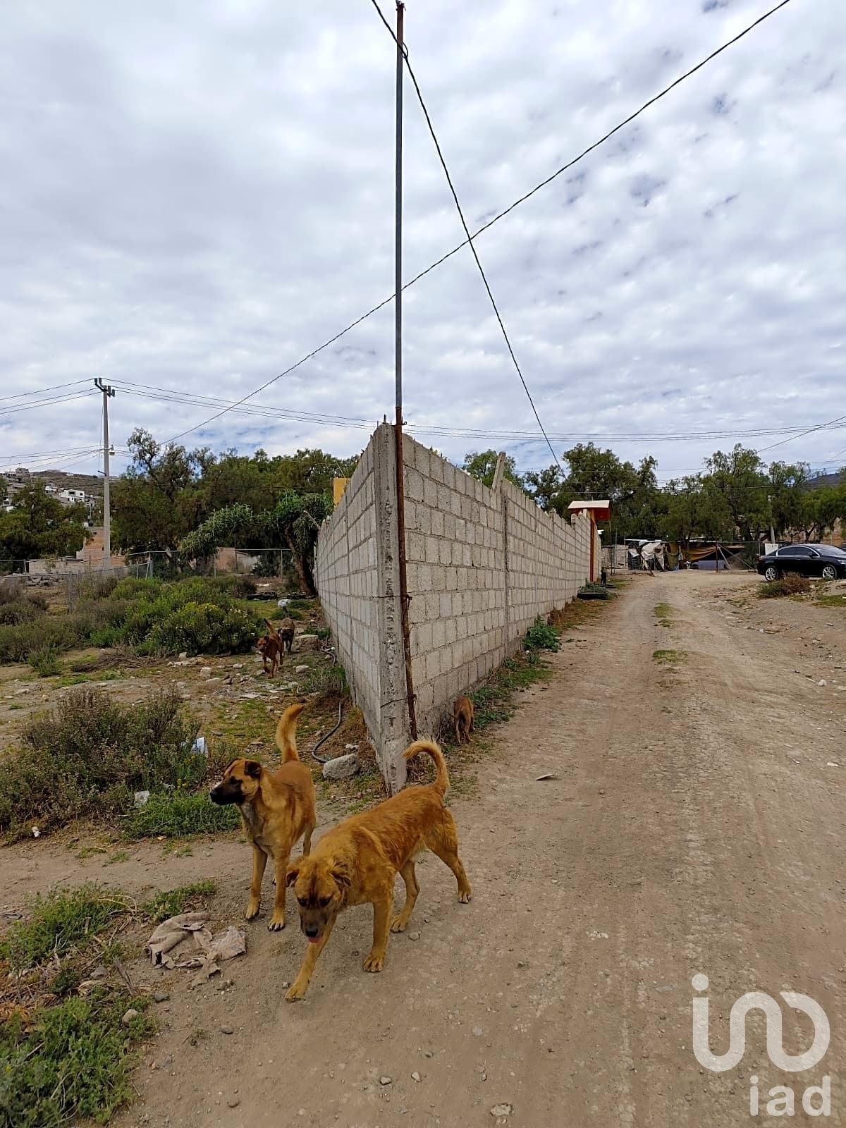 Terreno con pequeña construccion “Mesa 1” Terreno con pequeña construccion “Mesa 1”