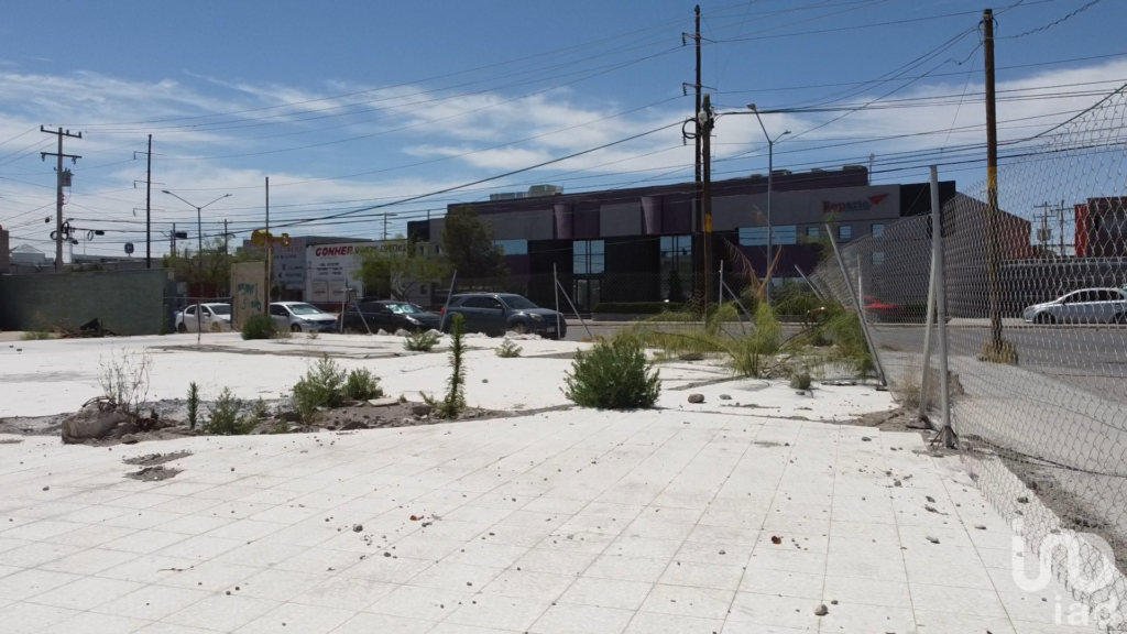 Terreno en Renta por Cesareo Santos