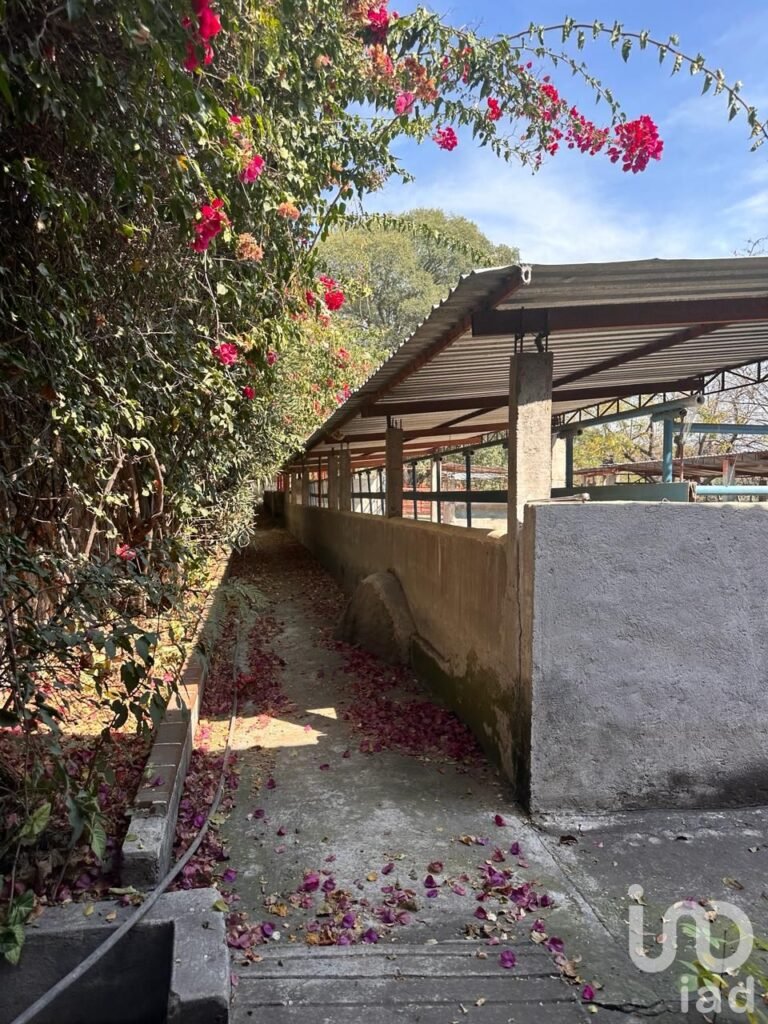 RANCHO EN VENTA, OPORTUNIDAD DE INVERSIÓN, RANCHO TEMOAC, MORELOS