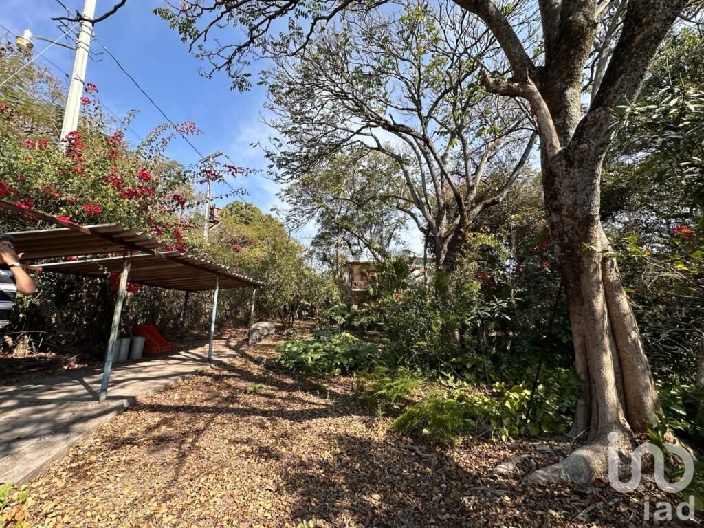 RANCHO EN VENTA, OPORTUNIDAD DE INVERSIÓN, RANCHO TEMOAC, MORELOS