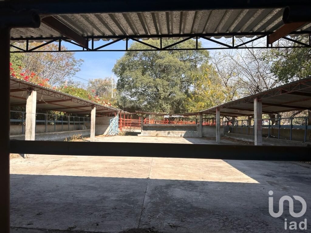 RANCHO EN VENTA, OPORTUNIDAD DE INVERSIÓN, RANCHO TEMOAC, MORELOS