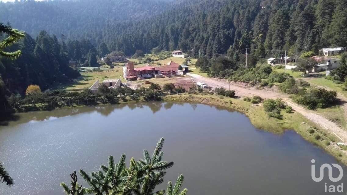 Terreno rústico amplio en venta mineral del monte en medio del bosque. Terreno rústico amplio en venta mineral del monte en medio del bosque.