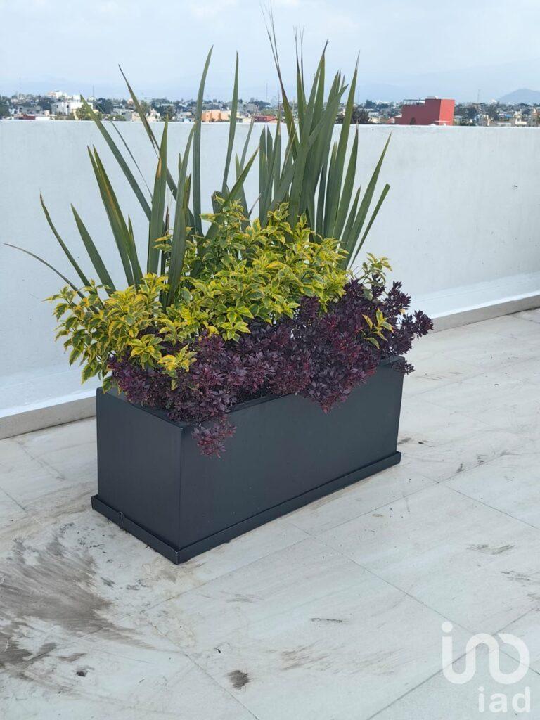 DEPARTAMENTO EN VENTA LUA II COYOACAN