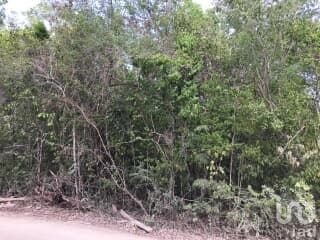 UNIDAD FRACCIONAMIENTO PEDREGAL