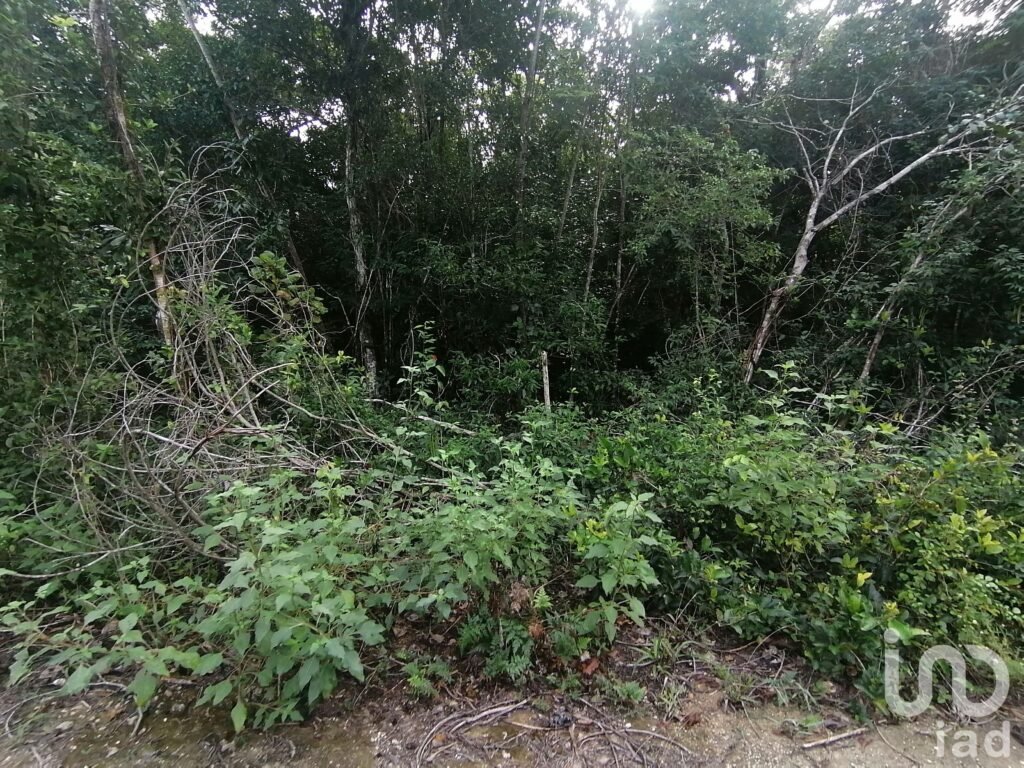 UNIDAD FRACCIONAMIENTO PEDREGAL