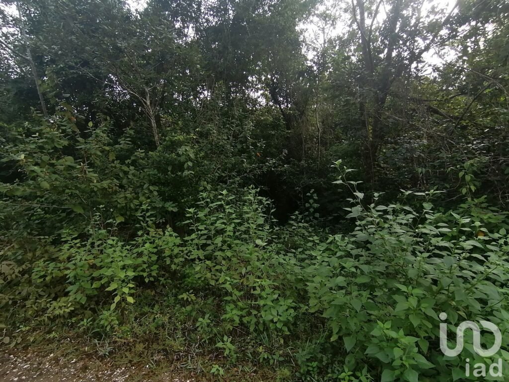 UNIDAD FRACCIONAMIENTO PEDREGAL