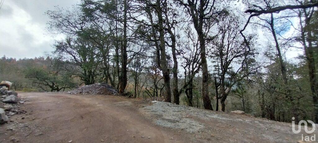 Se vende Terreno en Fraccionamiento Bosques de San Cayetano, en Mineral del Monte, Hidalgo.