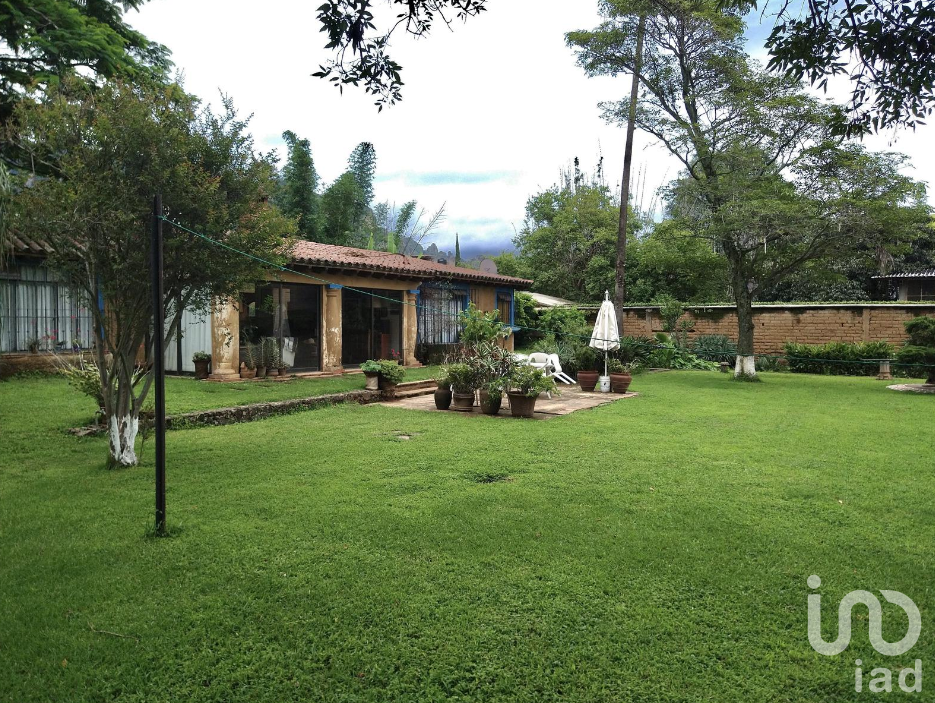 Terreno en Venta, sobre Avenida Comercial, Tepoztlán, Morelos