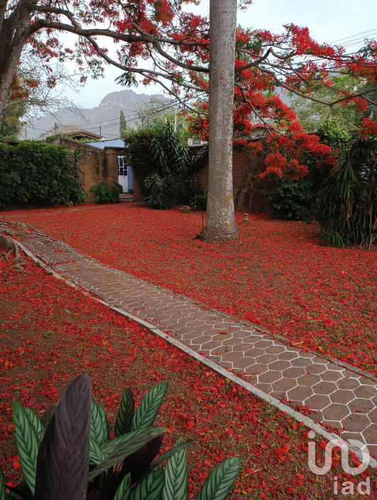 Terreno en Venta, sobre Avenida Comercial, Tepoztlán, Morelos