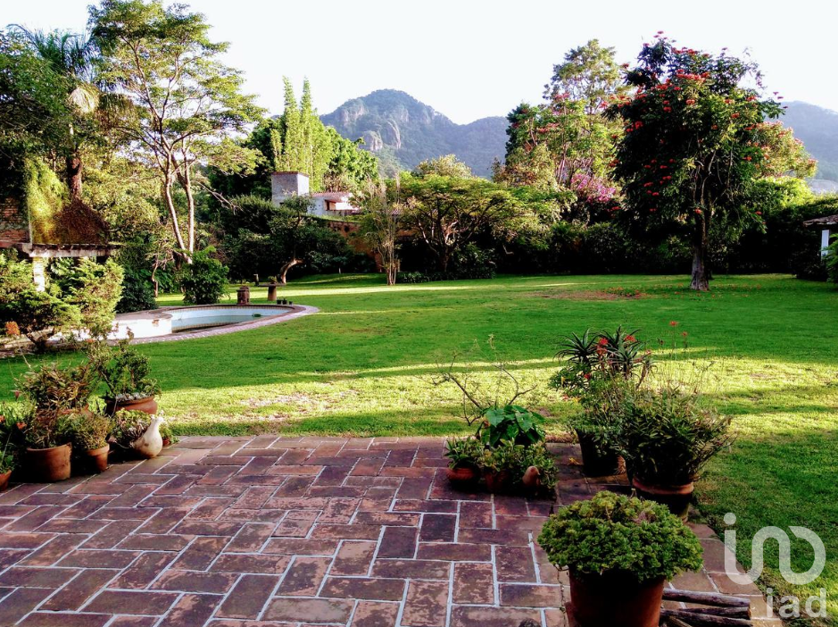 Terreno en Venta, sobre Avenida Comercial, Tepoztlán, Morelos