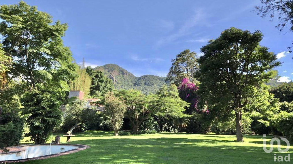 Terreno en Venta, sobre Avenida Comercial, Tepoztlán, Morelos