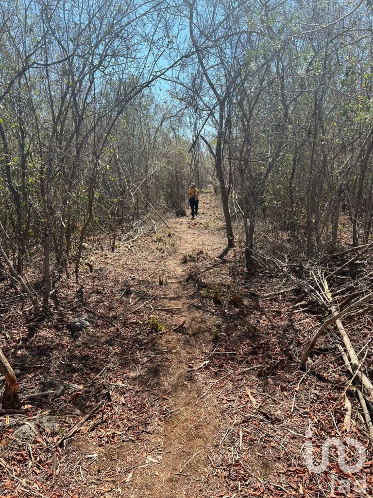 TERRENO en VENTA Yucatán México