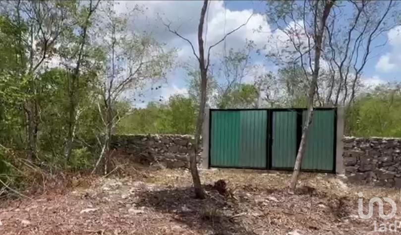 TERRENO en VENTA Yucatán México