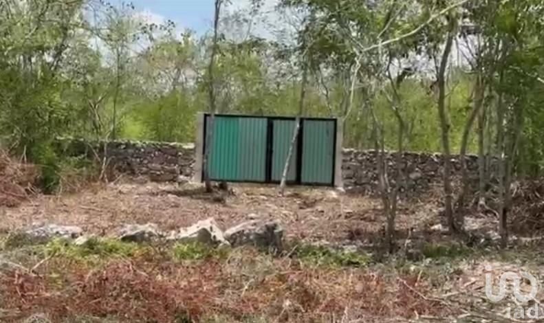 TERRENO en VENTA Yucatán México