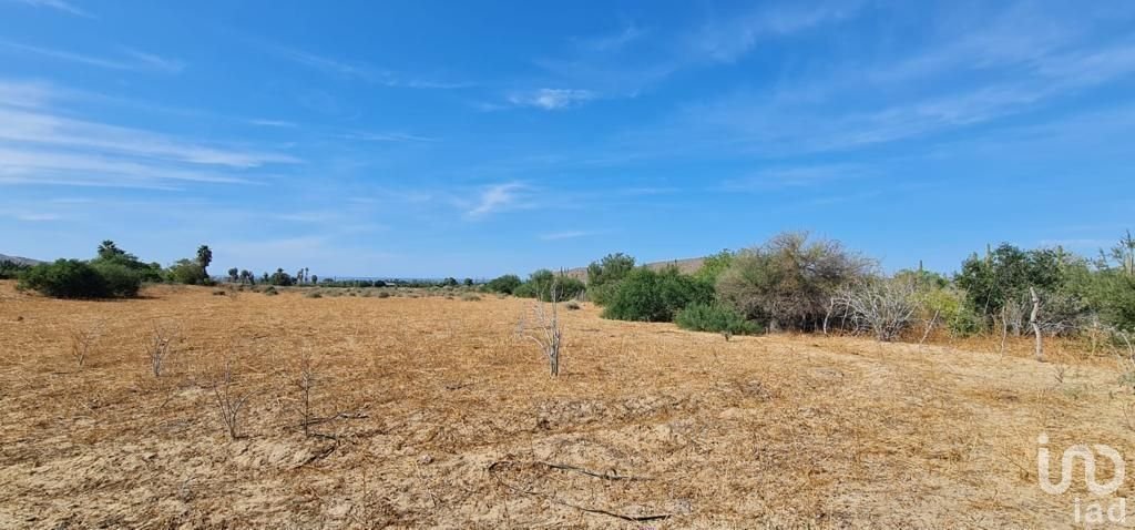 TERRENO 1500m2 EN VENTA EN CAMPESTRE EL PALMAR EN EL PESCADERO BAJA CALIFORNIA SUR