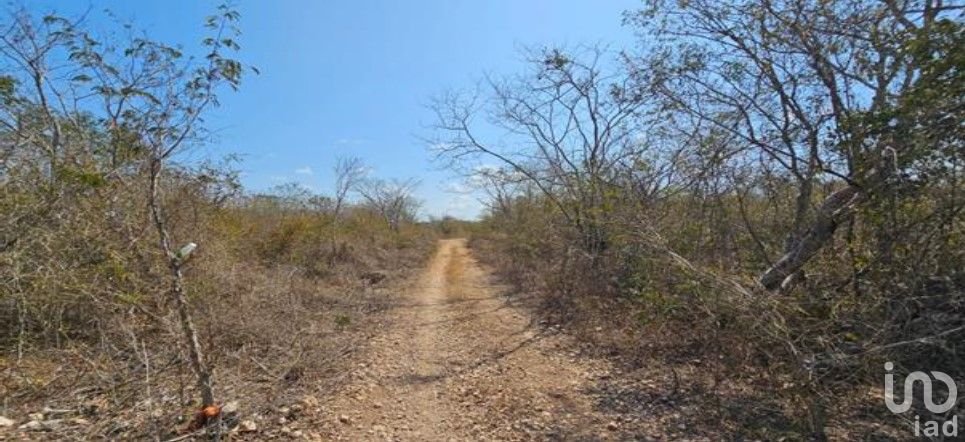 Amplio Terreno Privado en Yaxkukul Merida Yucatan