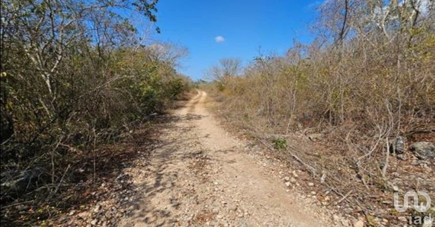 Amplio Terreno Privado en Yaxkukul Merida Yucatan