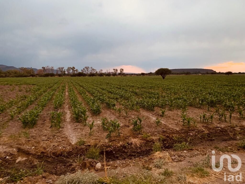 TERRENO EN VENTA A 20 MIN. DE MINERAL DE POZOS GUANAJUATO