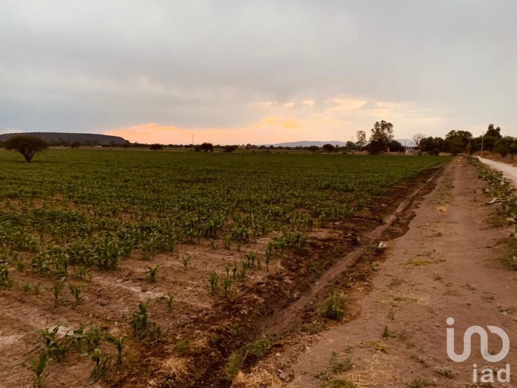 TERRENO EN VENTA A 20 MIN. DE MINERAL DE POZOS GUANAJUATO