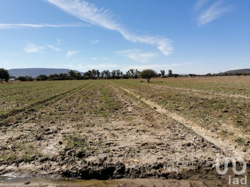TERRENO EN VENTA A 20 MIN. DE MINERAL DE POZOS GUANAJUATO