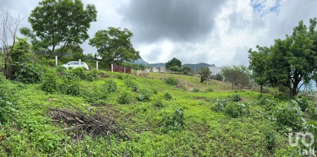 TERRENO EN VENTA, CARRETERA FEDERAL CUERNAVACA - TEPOZTLÁN