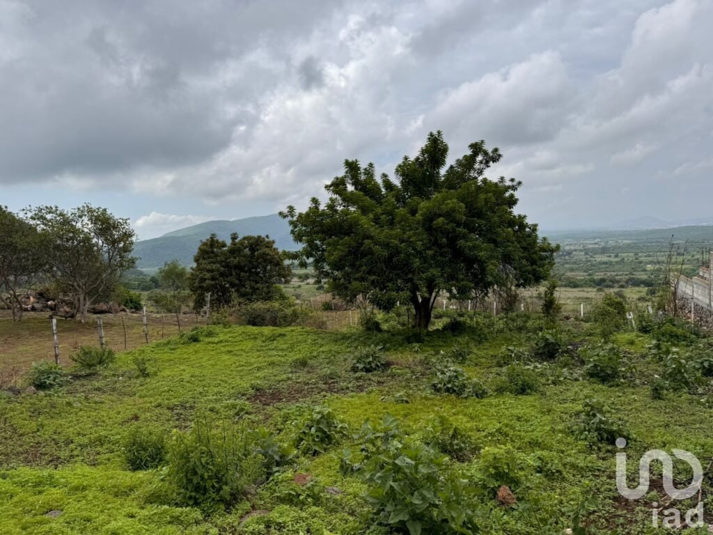 TERRENO EN VENTA, CARRETERA FEDERAL CUERNAVACA - TEPOZTLÁN