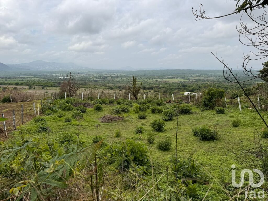 TERRENO EN VENTA, CARRETERA FEDERAL CUERNAVACA - TEPOZTLÁN