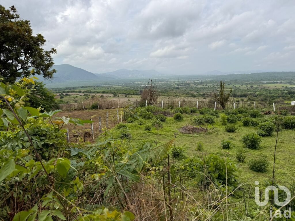 TERRENO EN VENTA, CARRETERA FEDERAL CUERNAVACA - TEPOZTLÁN