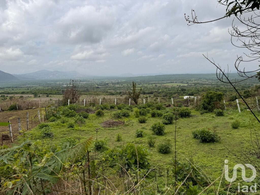 TERRENO EN VENTA, CARRETERA FEDERAL CUERNAVACA - TEPOZTLÁN