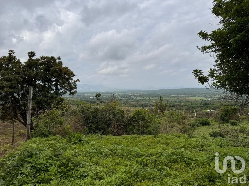 TERRENO EN VENTA, CARRETERA FEDERAL CUERNAVACA - TEPOZTLÁN